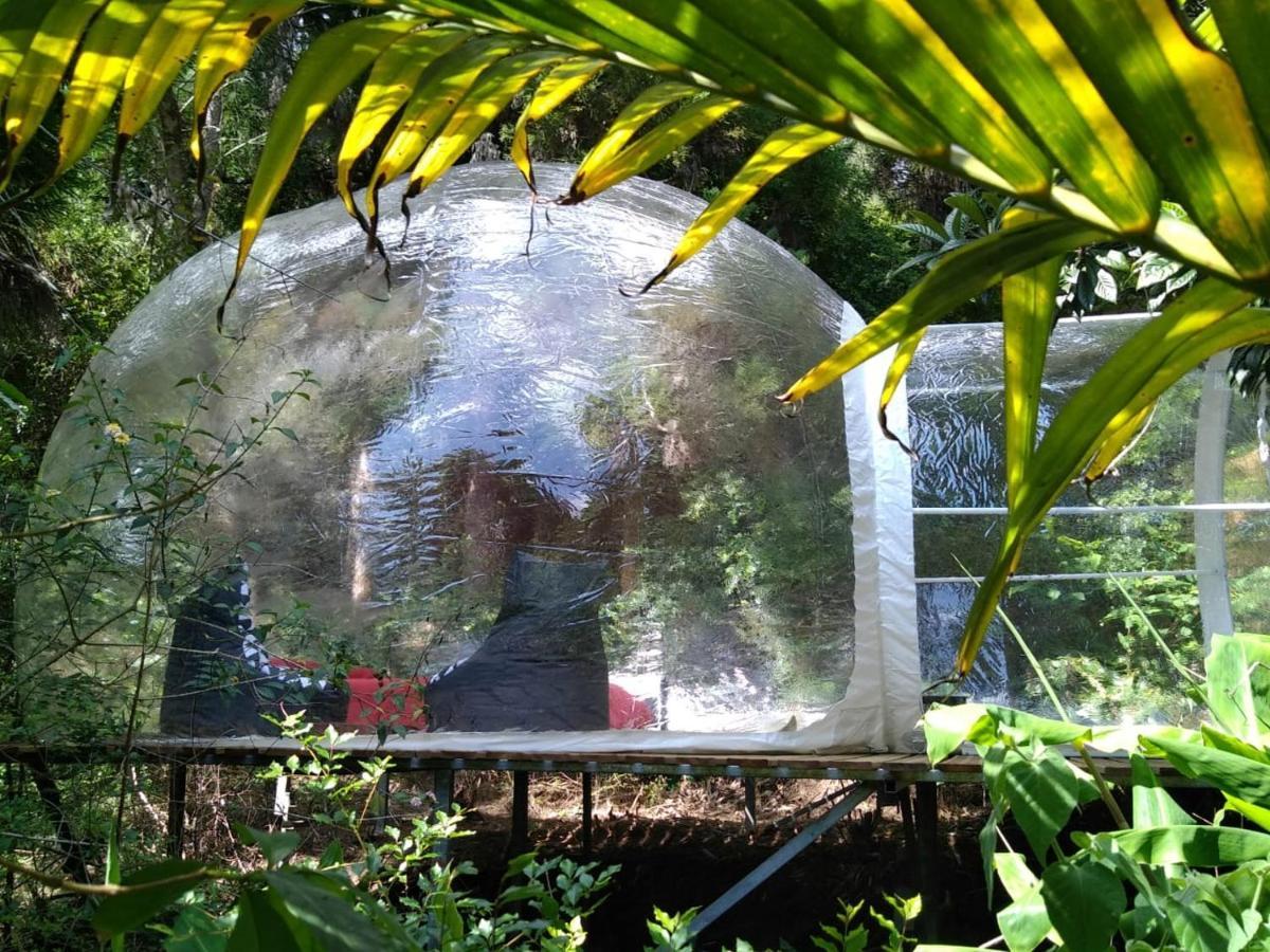 Dans Ma Bulle By C Cibeaulaos Hotel ซีลาโอส ภายนอก รูปภาพ